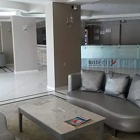 Hotel Winecity